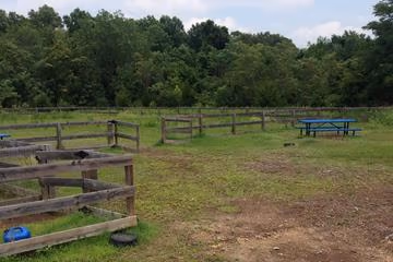Northside Dog Park photo 2
